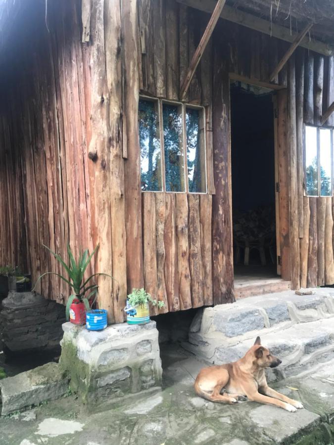 Kalitusi Nature Resort Fort Portal Extérieur photo