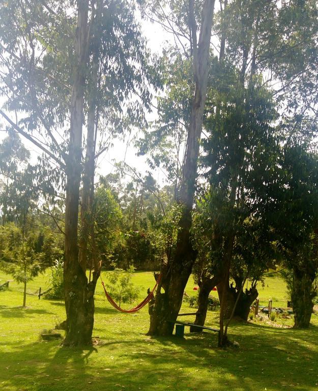 Kalitusi Nature Resort Fort Portal Extérieur photo
